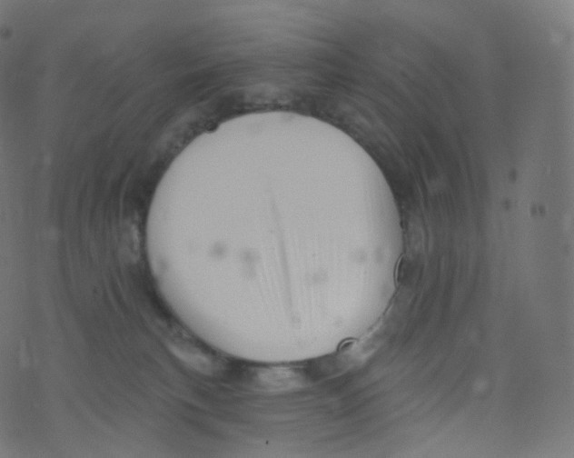 X0000073460183200608251741