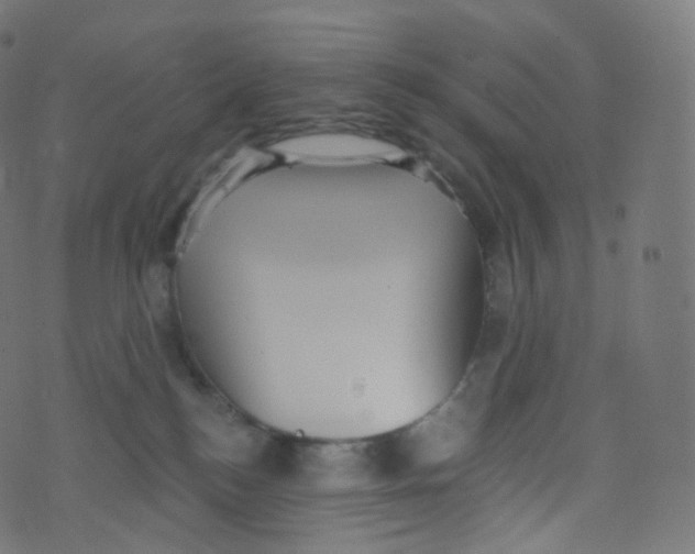 X0000073460184200608251741