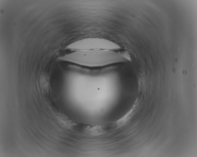 X0000073460186200608251741