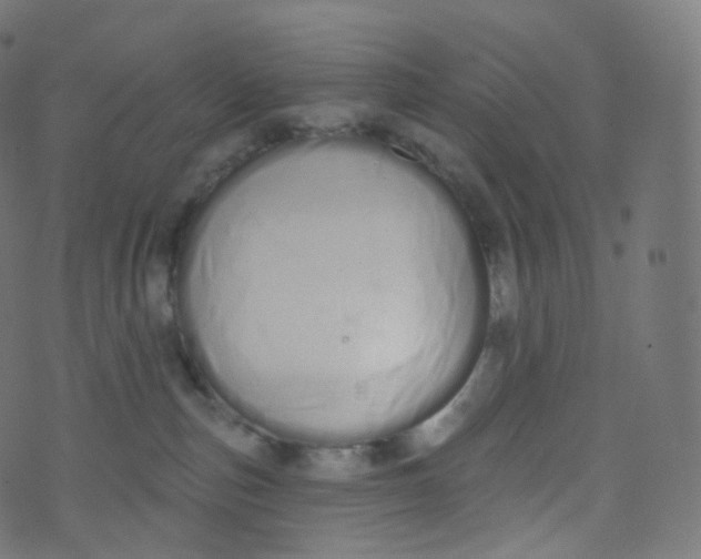 X0000073460187200608251741