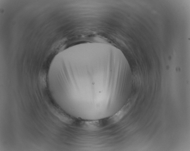 X0000073460188200608251741