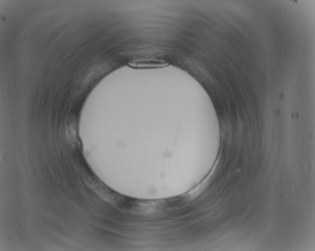 X0000073460190200608251741