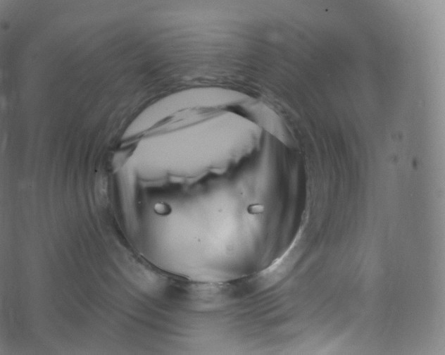 X0000073460192200608251741