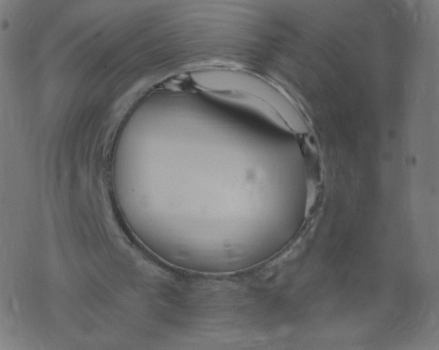 X0000073460193200608251740