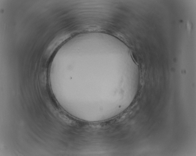 X0000073460194200608251740