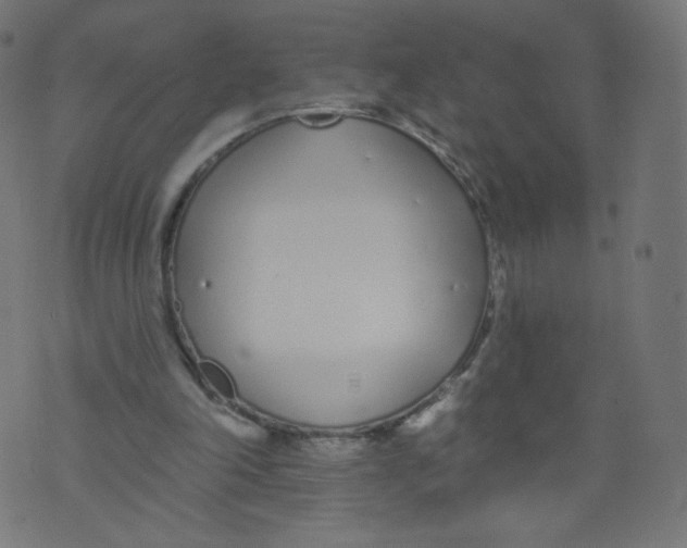 X0000073460198200608251740