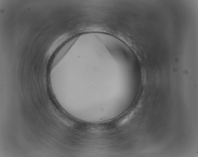 X0000073460199200608251740