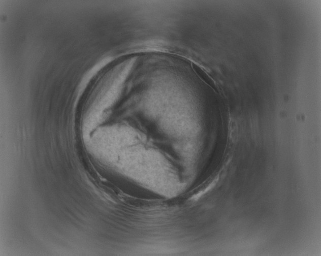 X0000073460200200608251740