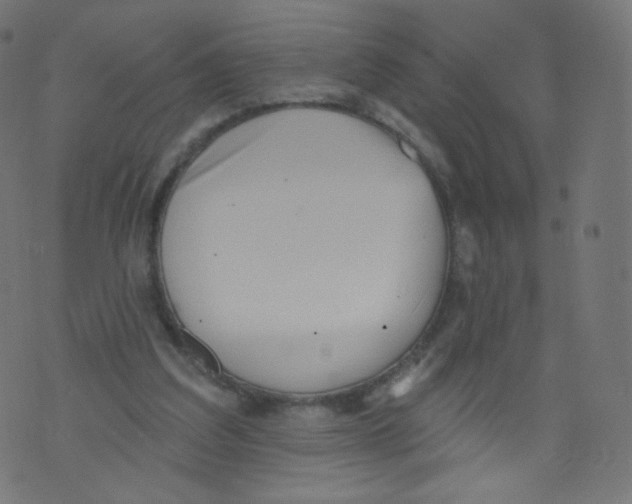 X0000073460203200608251740