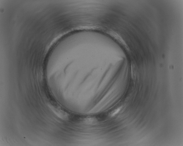 X0000073460204200608251740