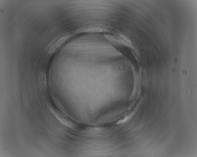 X0000073460205200608251740