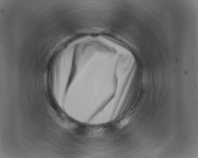 X0000073460206200608251740