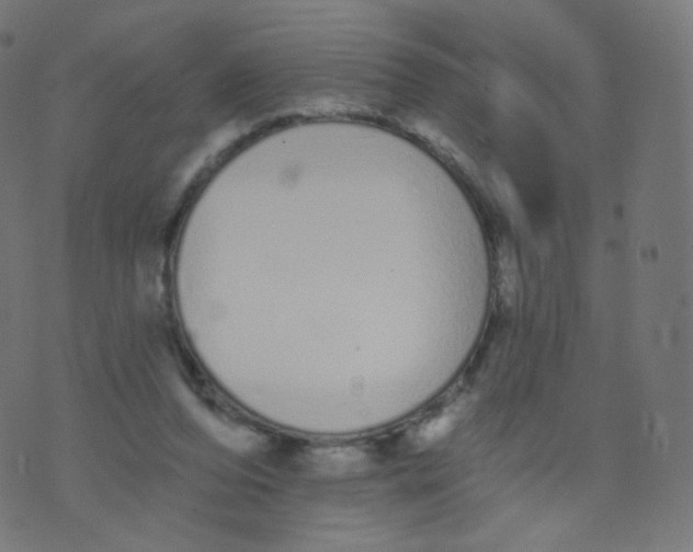 X0000073460208200608251740