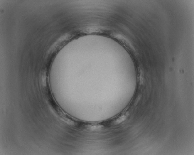 X0000073460210200608251740