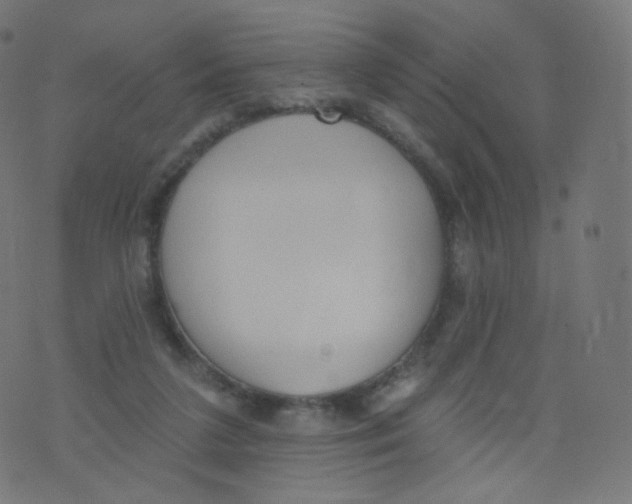 X0000073460211200608251740