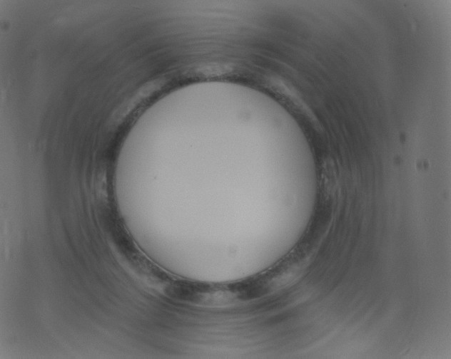 X0000073460212200608251740