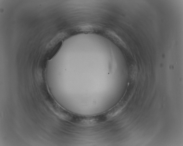 X0000073460213200608251740