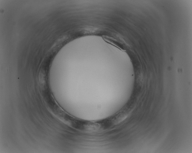 X0000073460215200608251740