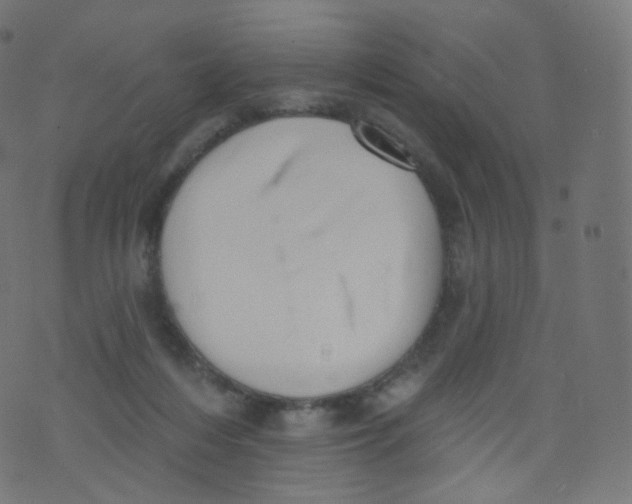 X0000073460216200608251740