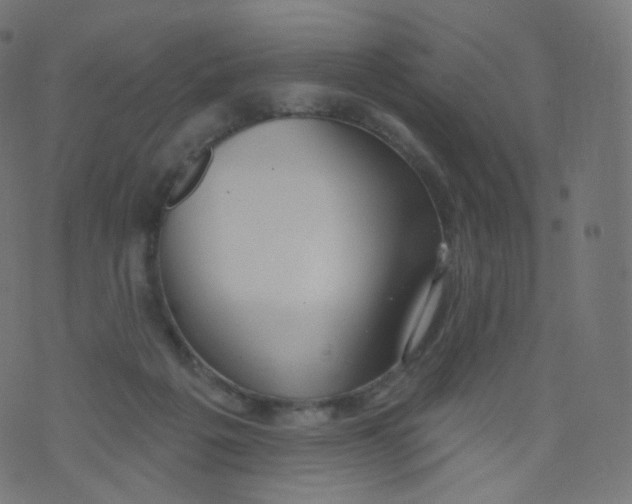 X0000073460217200608251740