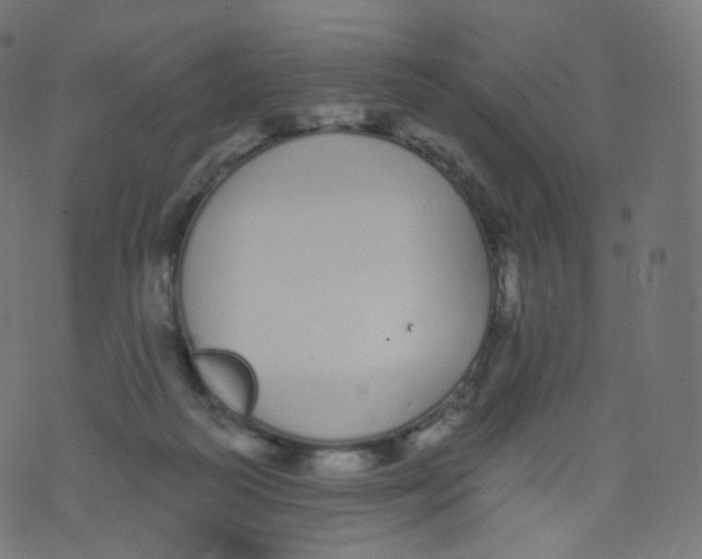 X0000073460218200608251740