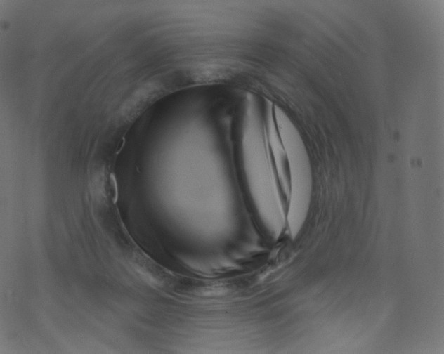 X0000073460219200608251740