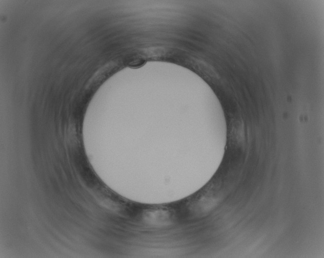 X0000073460220200608251740