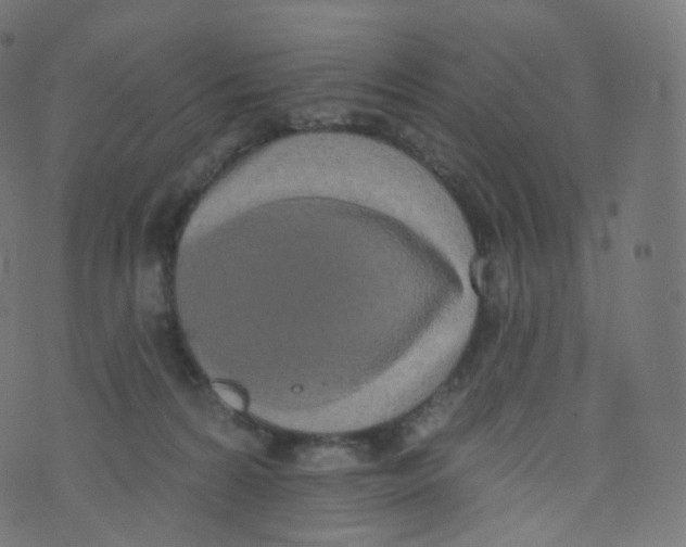 X0000073460224200608251740