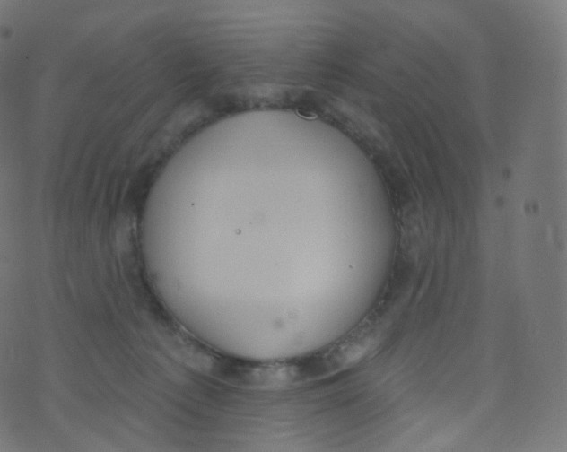 X0000073460225200608251740