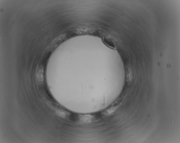 X0000073460226200608251740