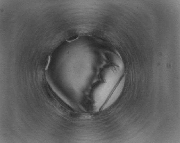 X0000073460227200608251740