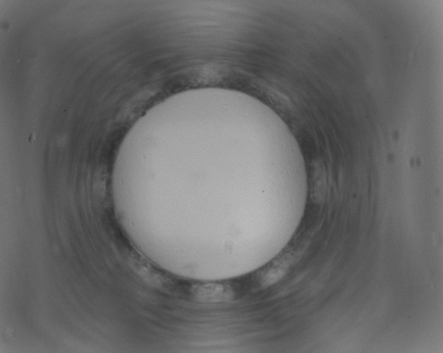 X0000073460230200608251740