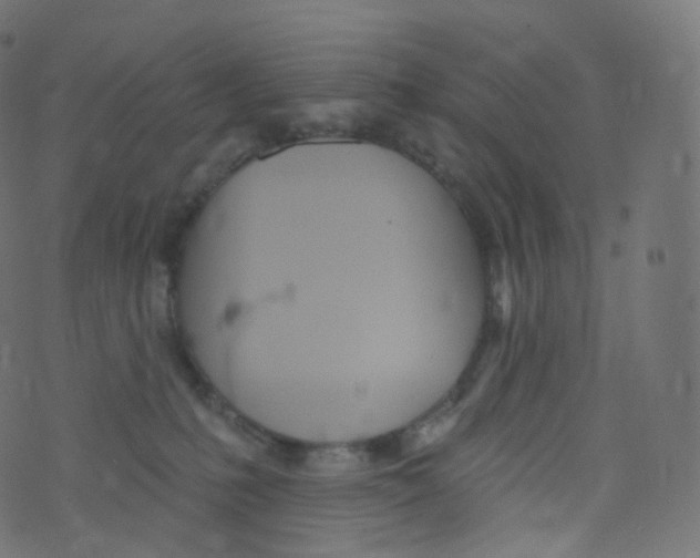 X0000073460231200608251740