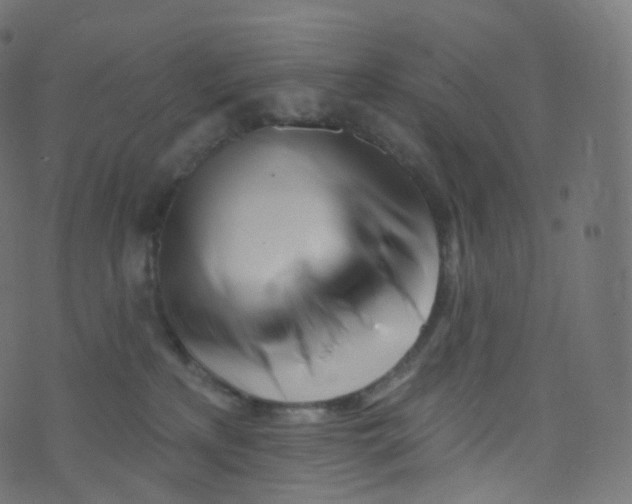 X0000073460233200608251739