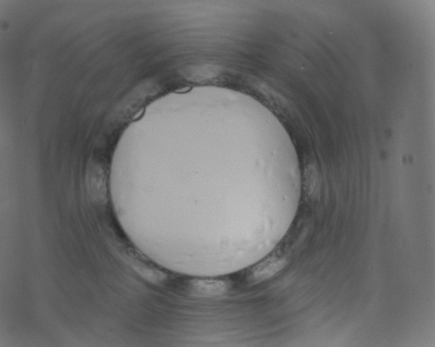 X0000073460234200608251739