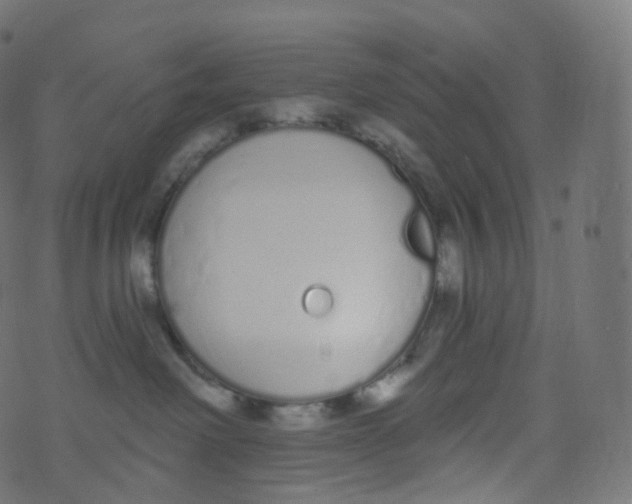 X0000073460238200608251739