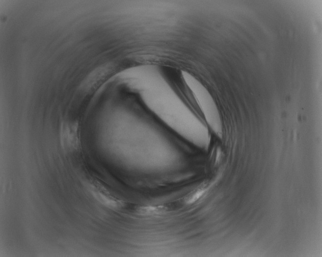 X0000073460239200608251739