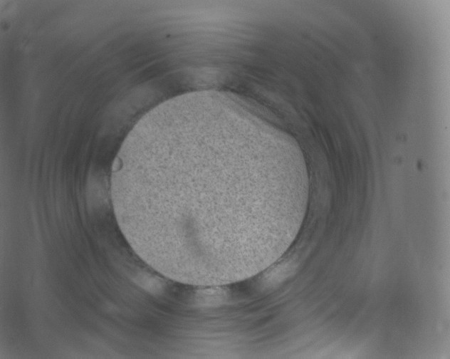 X0000073460240200608251739