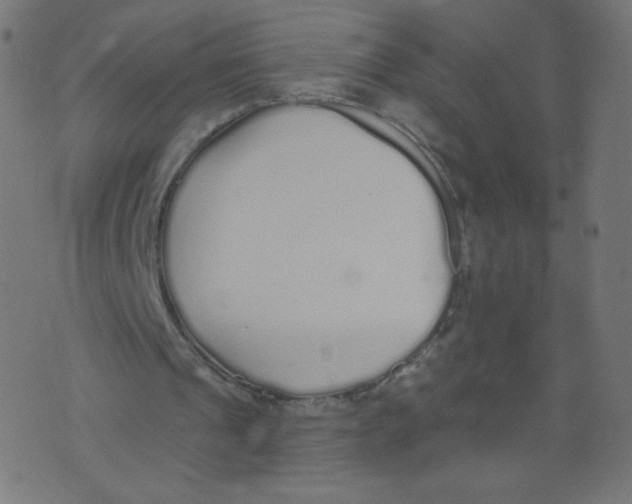 X0000073460241200608251739