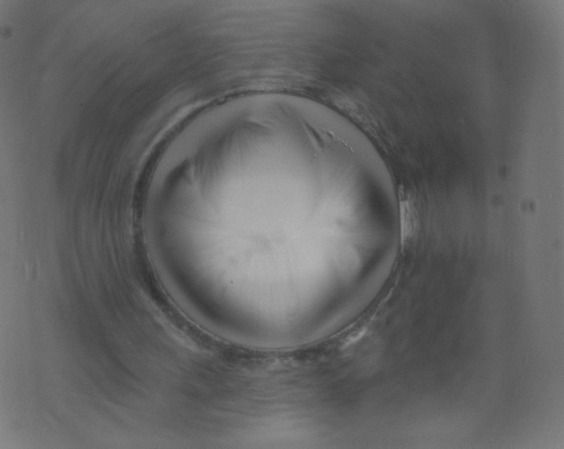 X0000073460243200608251739