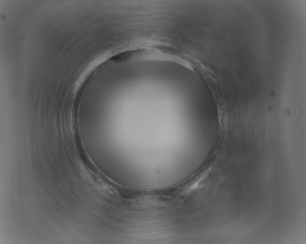 X0000073460244200608251739