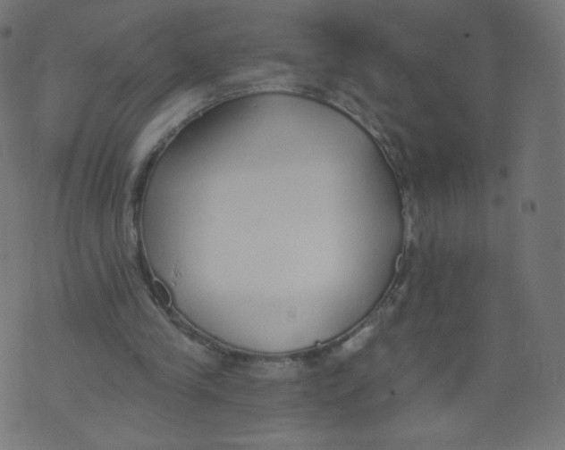 X0000073460245200608251739