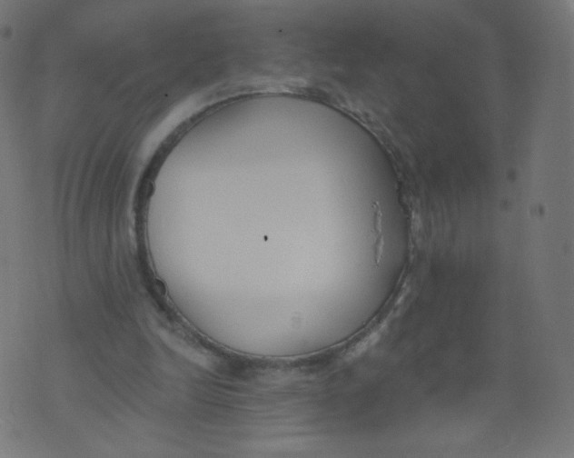 X0000073460246200608251739