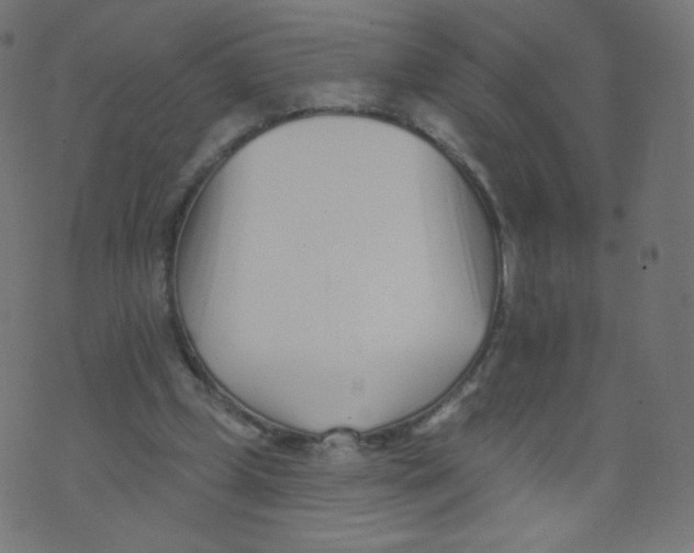 X0000073460249200608251739