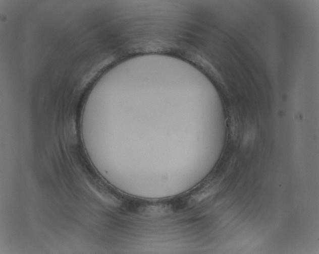 X0000073460251200608251739