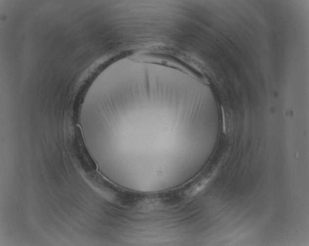 X0000073460252200608251739