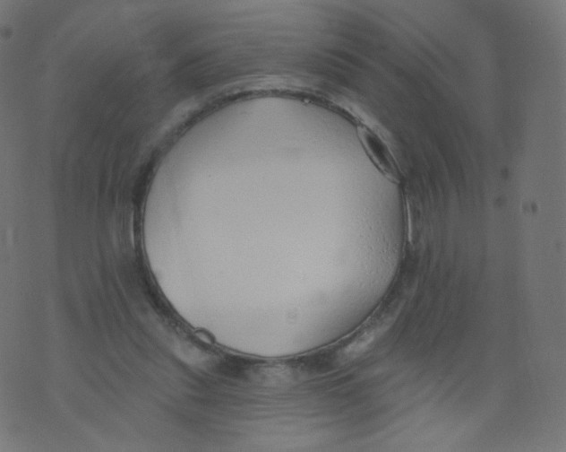 X0000073460253200608251739