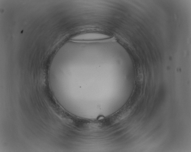 X0000073460255200608251739