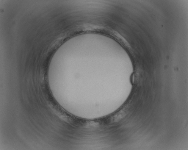 X0000073460257200608251739