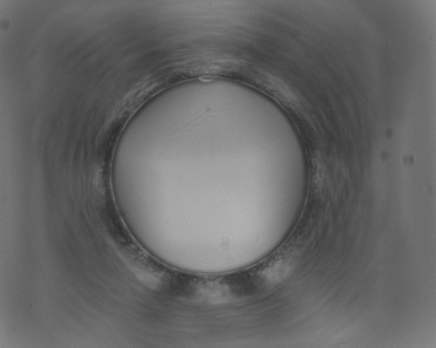 X0000073460258200608251739